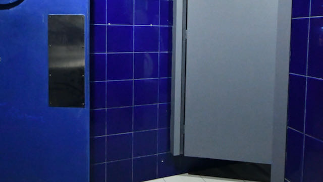 Puerta Interior de acceso al aseo PMR