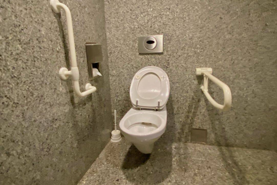 Detalle del inodoro del aseo PMR de hombres