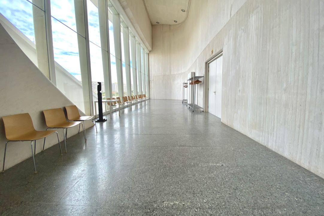 Pasillos / vestíbulo anexos a la puerta de la Sala