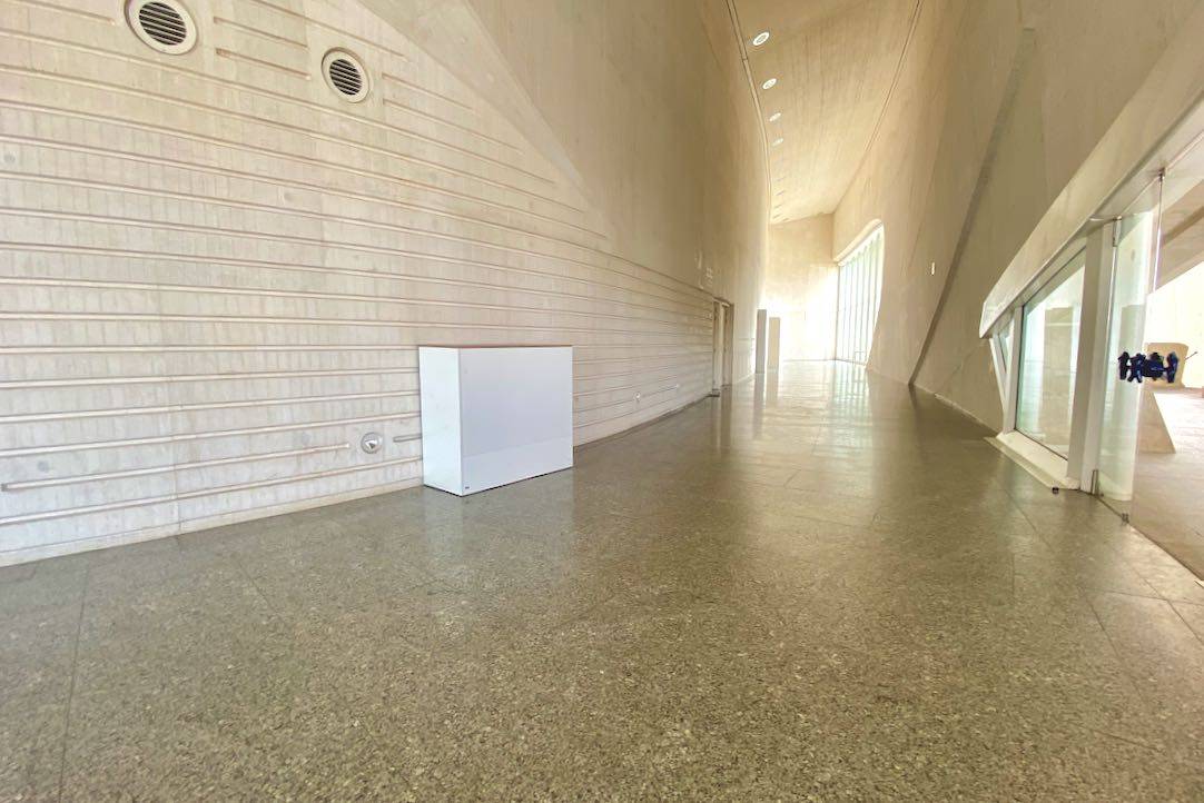 Pasillos / vestíbulo anexos a la puerta de la Sala