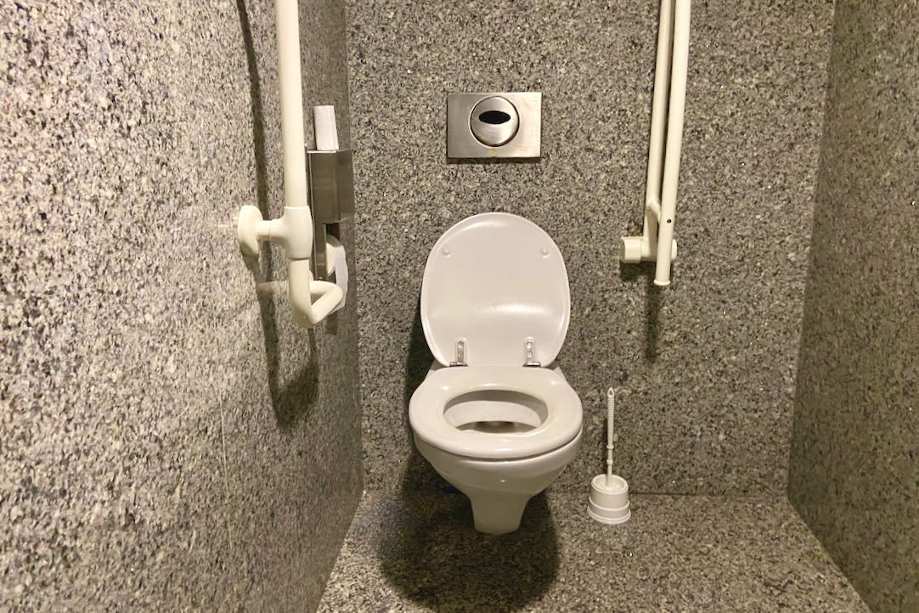 Inodoro del aseo PMR de hombres