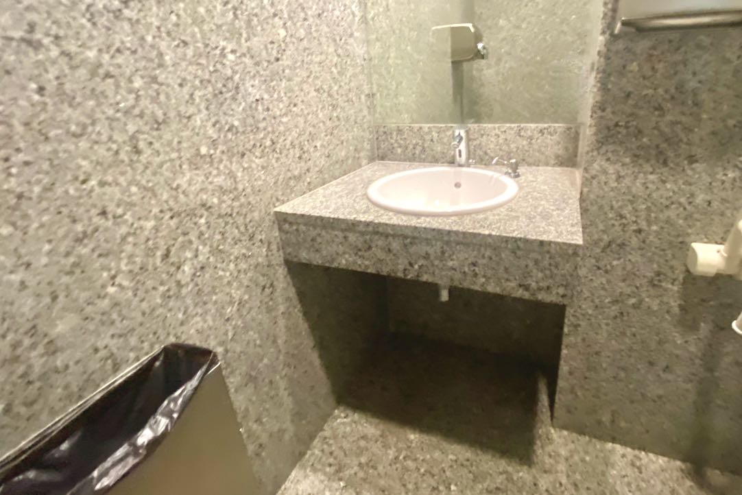 Lavabo del aseo para PMR