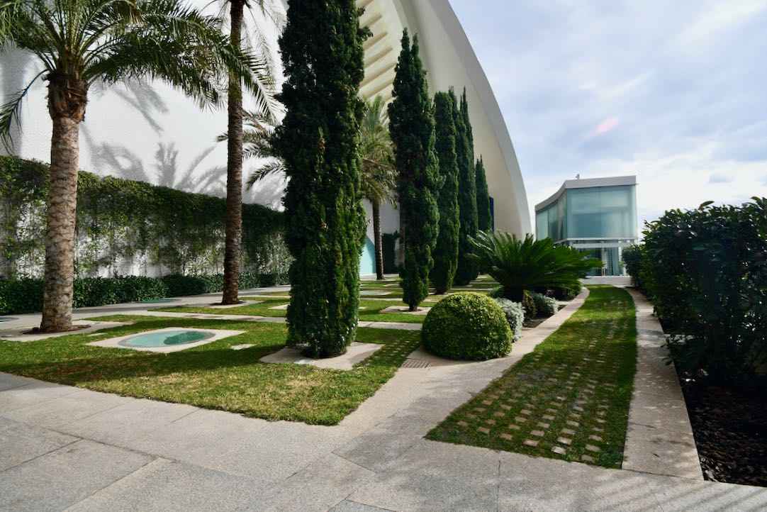 Planta 11 (Anfiteatro del Auditori)