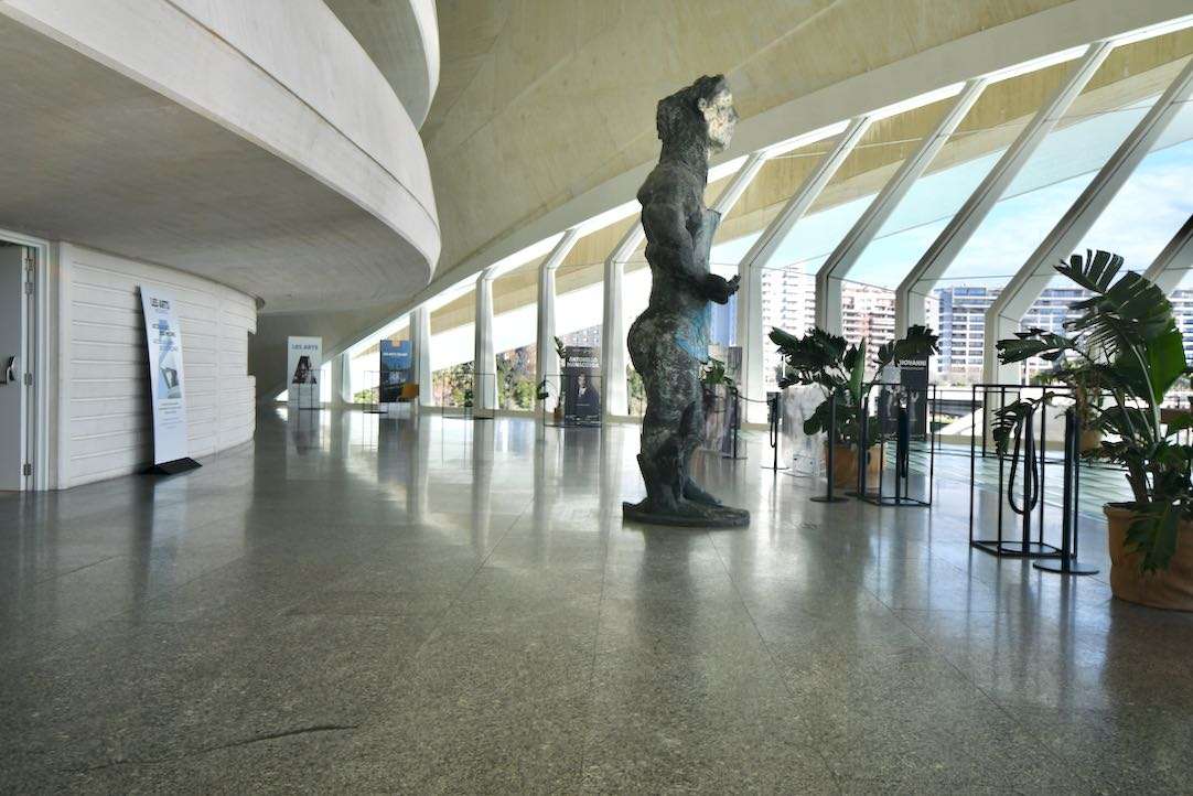Vestíbulo Principal. Platea Baja