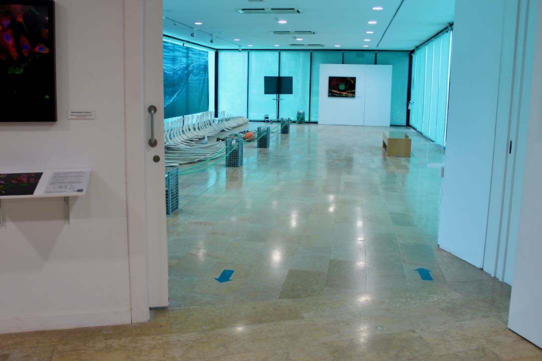 Salas de las exposiciones temporales