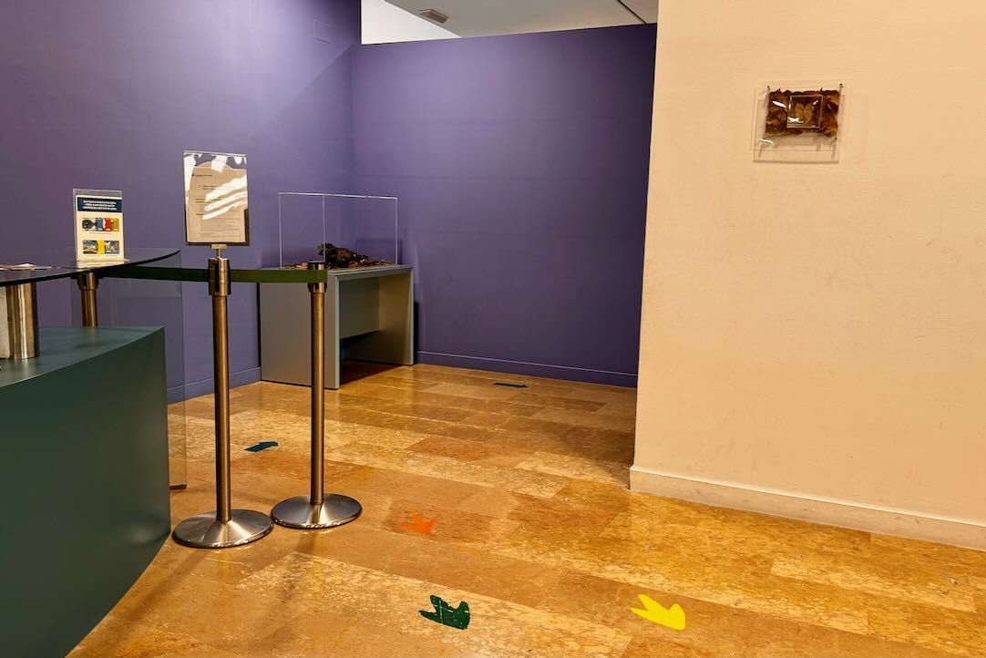 Acceso a la Exposición Permanente