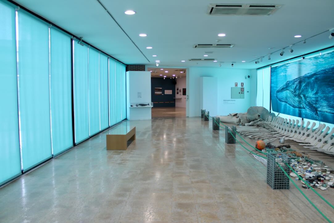 Salas de las exposiciones temporales