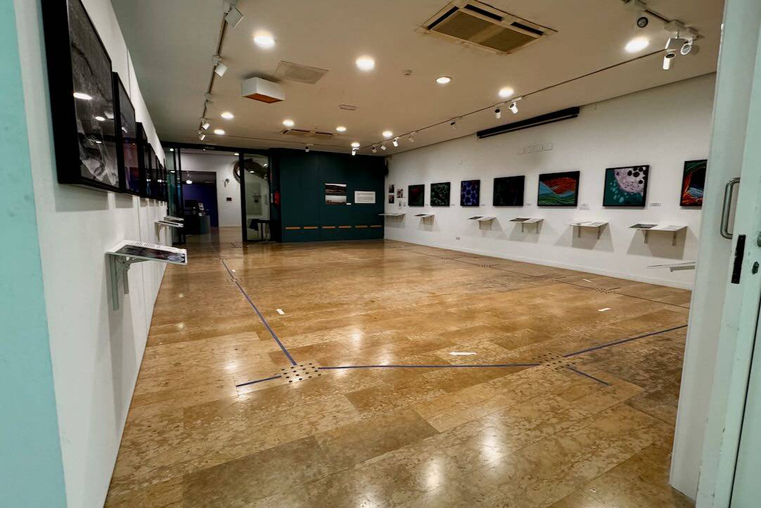 Salas de las exposiciones temporales