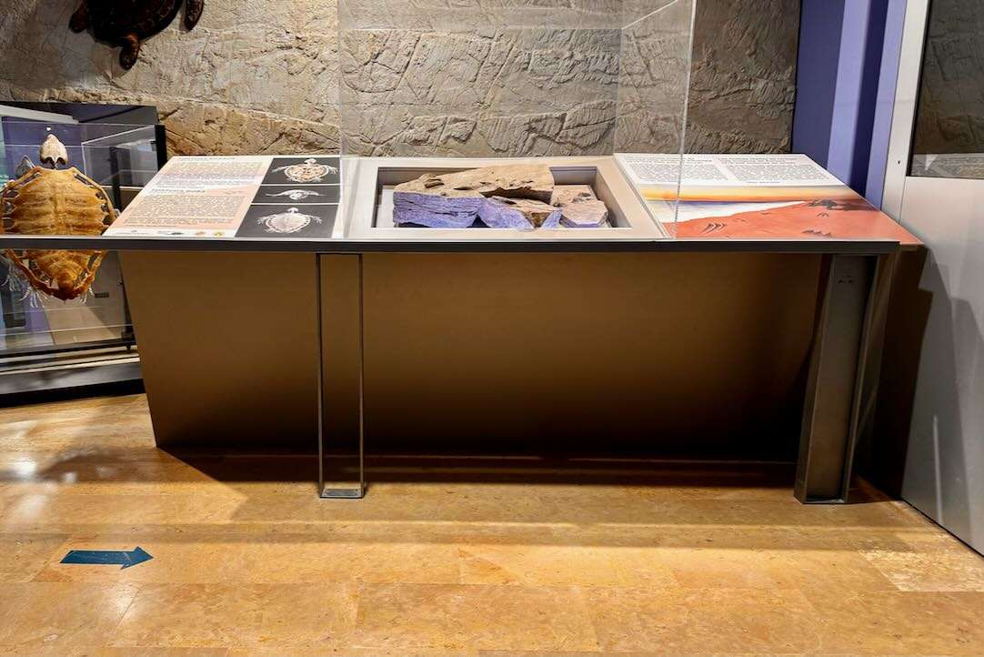 Ejemplos de expositor manipulable