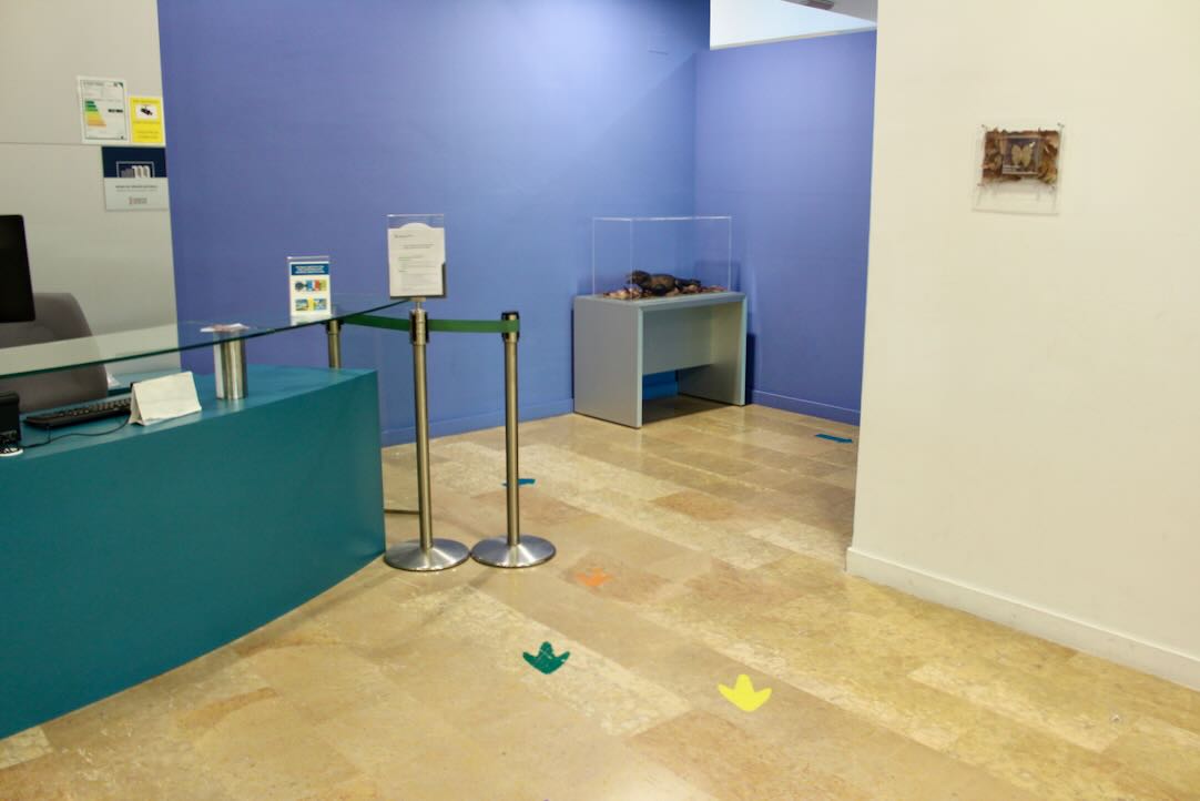 Acceso a la Exposición Permanente