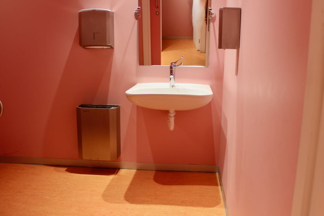Aseo accesible mujeres. Lavabo