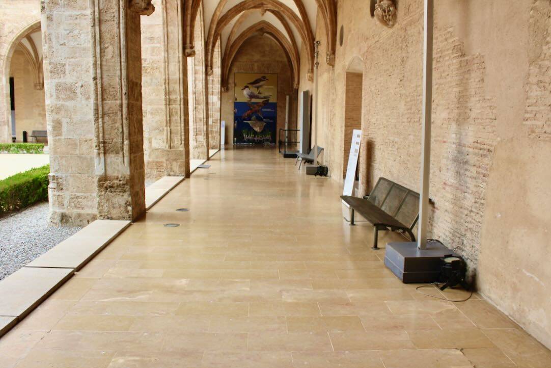 Claustro Gótico