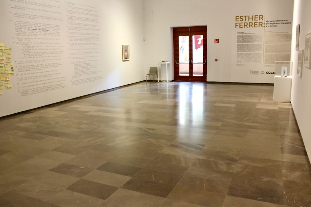 Sala Carlos Pérez. Movilidad interior