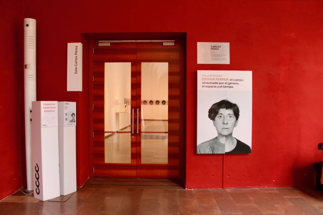 Sala Carlos Pérez. Puerta de acceso