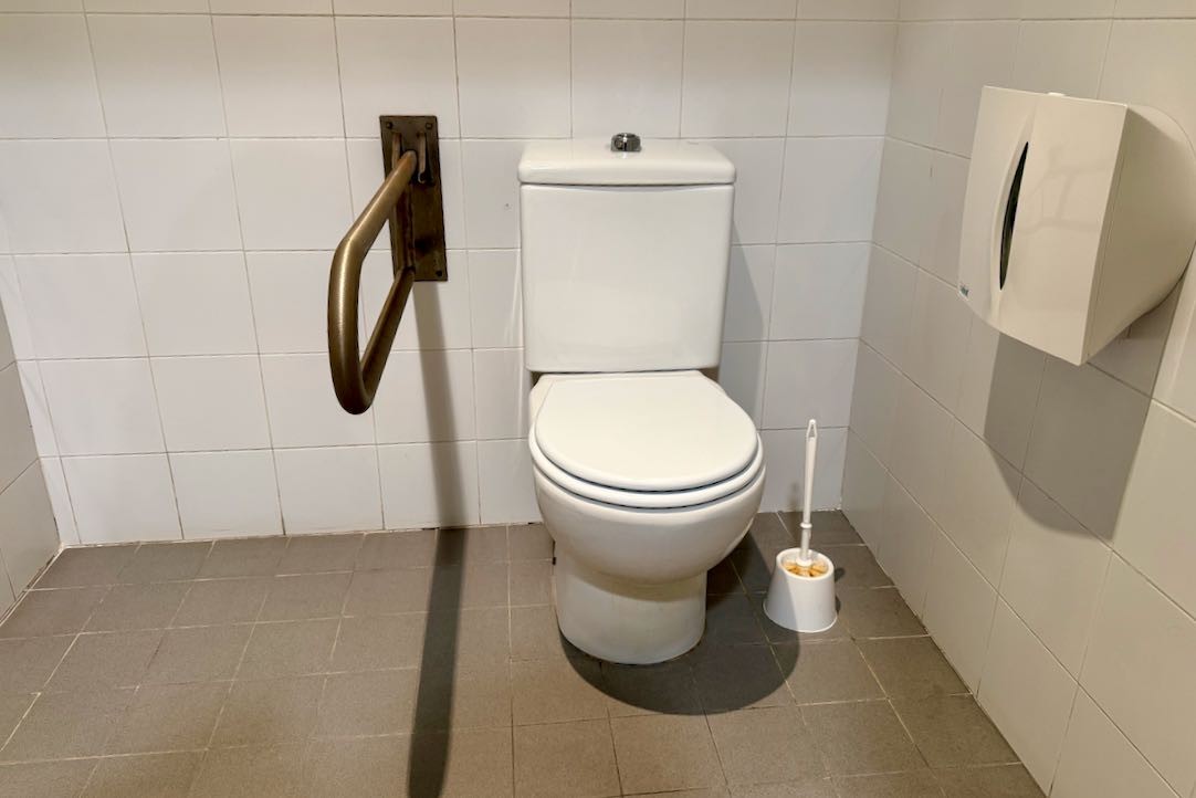 Aseo accesible hombres. Inodoro