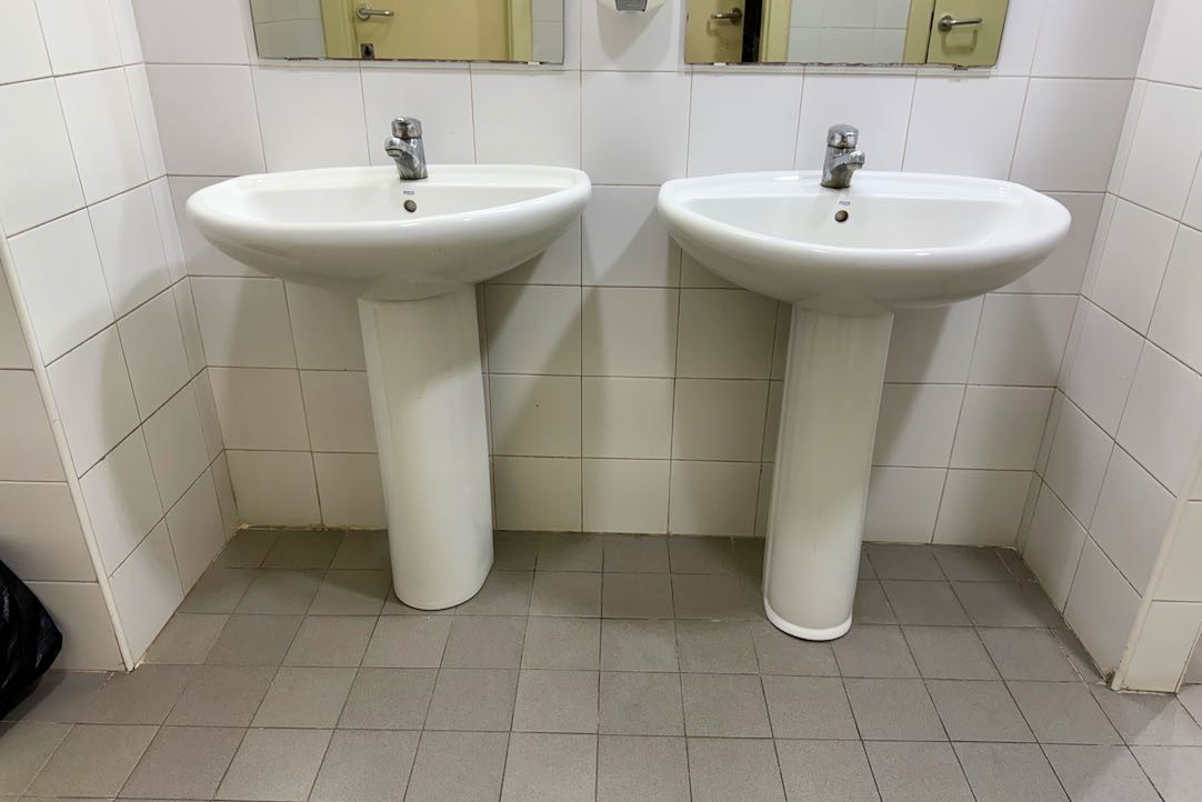 Aseo accesible mujeres. Lavabo