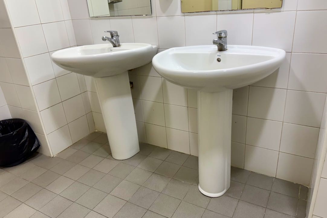 Aseo accesible mujeres. Lavabo