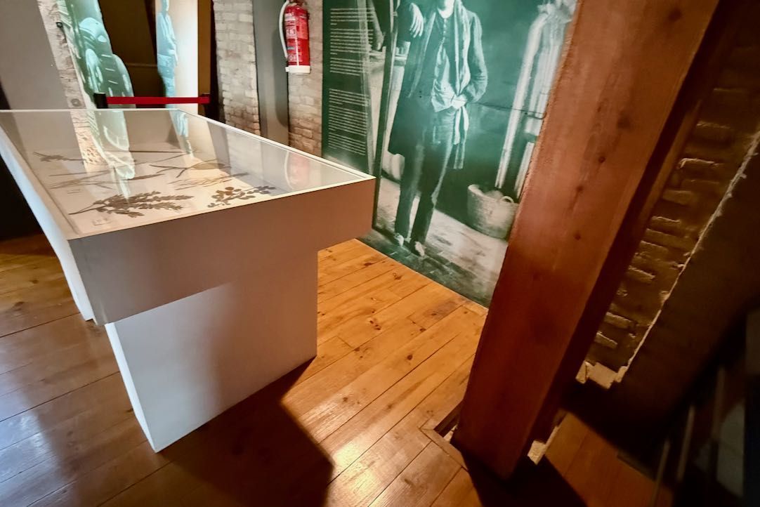 Expositor con limitaciones de espacio para silla de ruedas