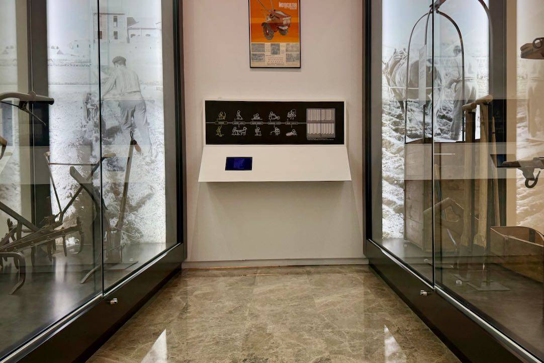 Movilidad interior