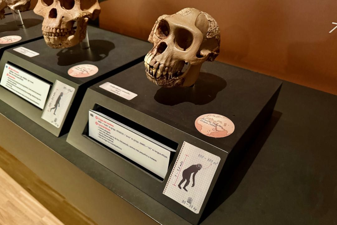 Primera planta, exposición permanente
