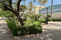 Movilidad del jardín