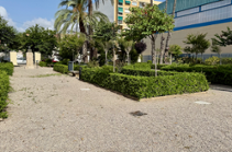 Movilidad del jardín