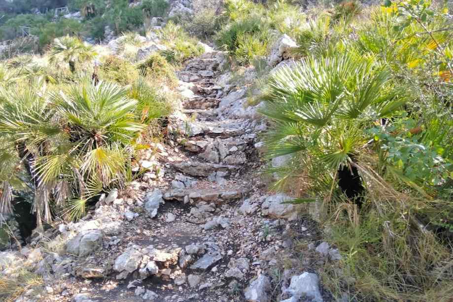 Pla de Petracos